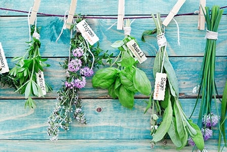 Meatless Monday: 5 Summer Herbs
