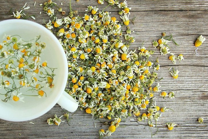 Natural sleep aids: camomile tea