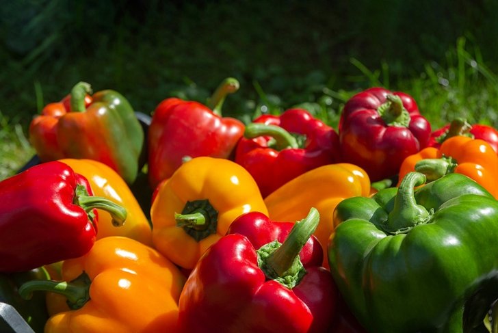 bell peppers