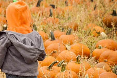 4 Unique Ways to Cook with Pumpkin
