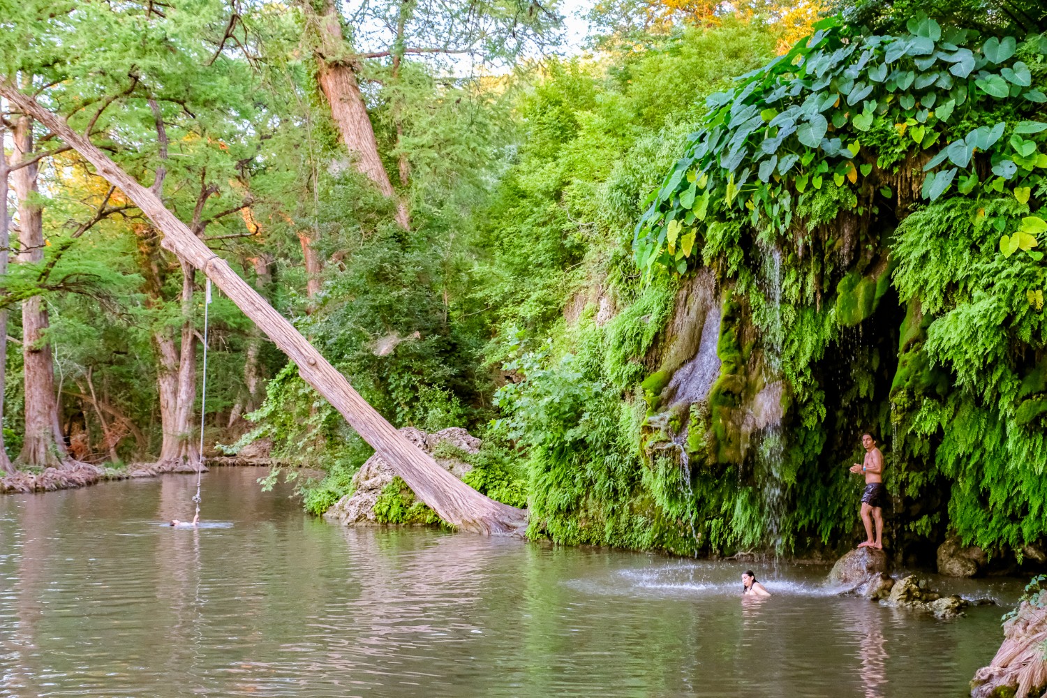 natural spring swimming